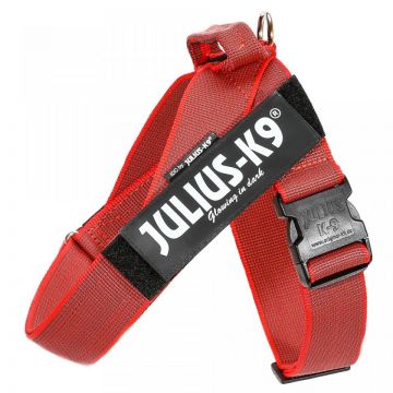 JULIUS-K9 IDC Color & Gray, ham bandă câini, M, 14-25kg, roşu