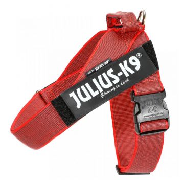 JULIUS-K9 IDC Color & Gray, ham bandă câini, XL, 28-40kg, roșu ieftin