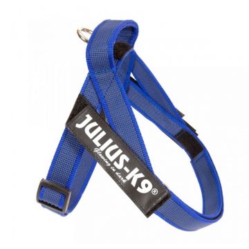 JULIUS-K9 IDC Color & Gray, ham bandă câini, XS, 4-7kg, albastru