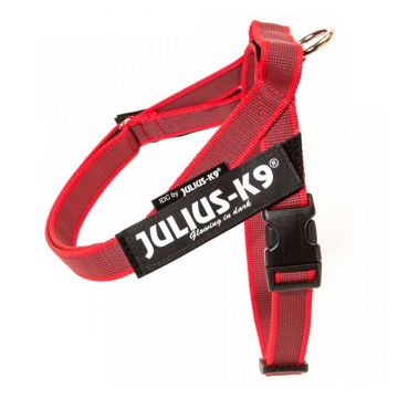 JULIUS-K9 IDC Color & Gray, ham bandă câini, XS, 4-7kg, roșu de firma original