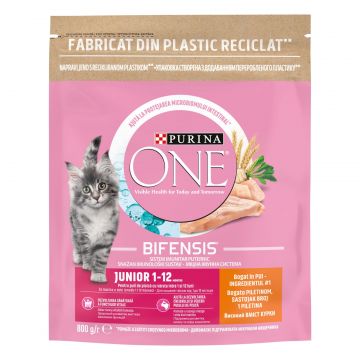 PURINA One Junior, Pui cu Cereale Integrale, hrană uscată pisici junior, 800g