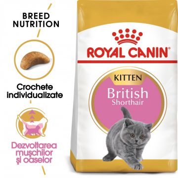 Royal Canin British Shorthair Kitten, hrană uscată pisici junior, 10kg