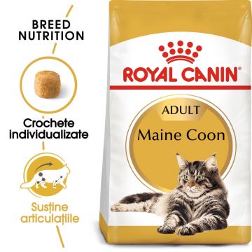 Royal Canin Maine Coon Adult, hrană uscată pisici, 10kg