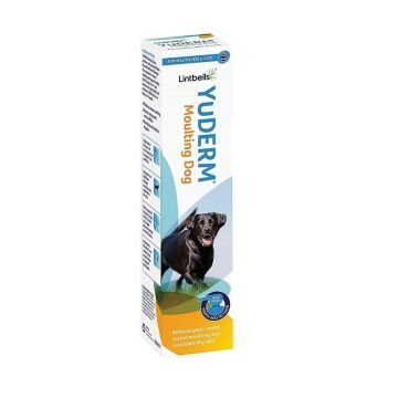 Suplimente Nutritive Pentru Caini Lintbells Yuderm Moulting Dog, 500 ml