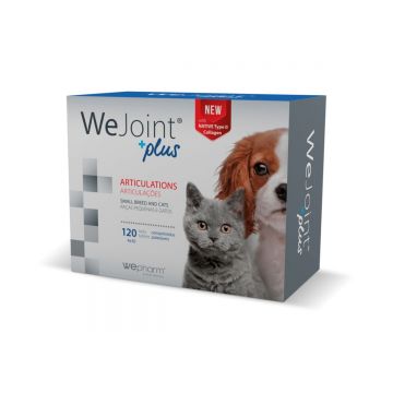 WEPHARM WeJoint Plus S, suplimente articulare câini și pisici, 120cpr